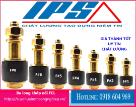 Bulong Khớp Nối FCL# F2 ( M10*56 ) dùng cho khớp FCL100 