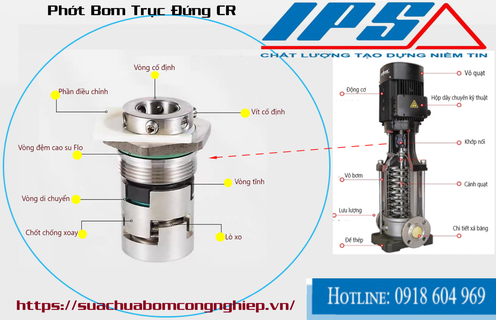 /CR-19(4).