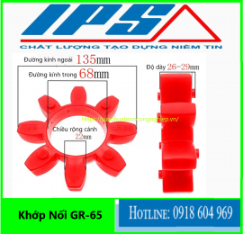 Vòng đệm GR55-Khớp nối GR55 -IPS cung cấp đầy đủ kích thước 