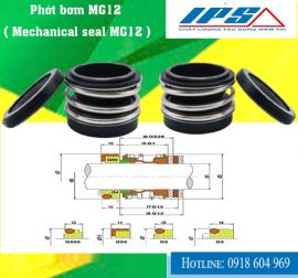 PHỚT MÁY BƠM EBARA MODEL MG12-65