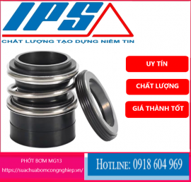   Phớt máy bơm Ebara GS (model GS40-250 ) - Phớt bơm MG13