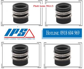  Phớt máy bơm Ebara GS (model GS50-160 ) - Phớt bơm MG13