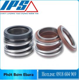 Phớt bơm Ebara GS32-125.1