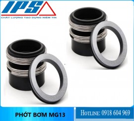 Phớt bơm MG13-95 ( Đường kính trong 95 mm X đường kính ngoài vòng tĩnh 120 mm )