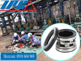 Phớt bơm ly tâm trục ngang Teral 2100-14 ( đường kính trục 14 mm  ) - Vật liệu Sic/Sic/Viton)