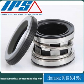 Phớt máy bơm trục ngang Teral , Phớt máy bơm 2100 - 90 Hotline 0918604969